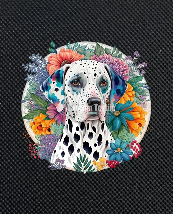 Dalmatian002 - Image 3