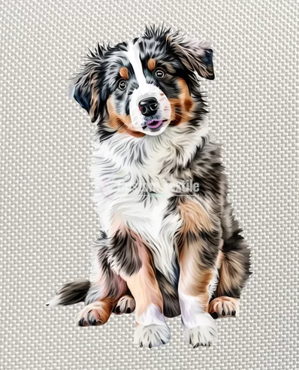 Ausshepherd - Image 4