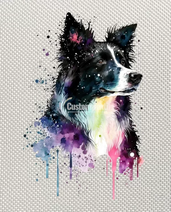 Bcollie002 - Image 4