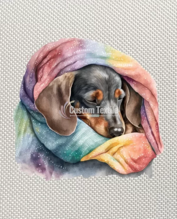 Dachsund002 - Image 4