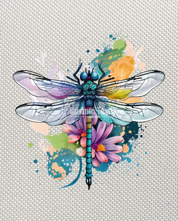 Dragonfly001 - Image 4