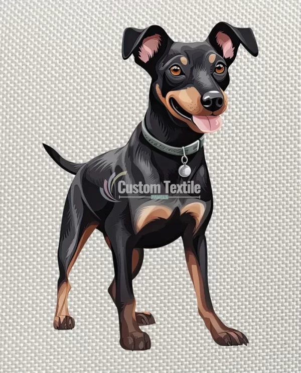 Manchesterterrier - Image 4