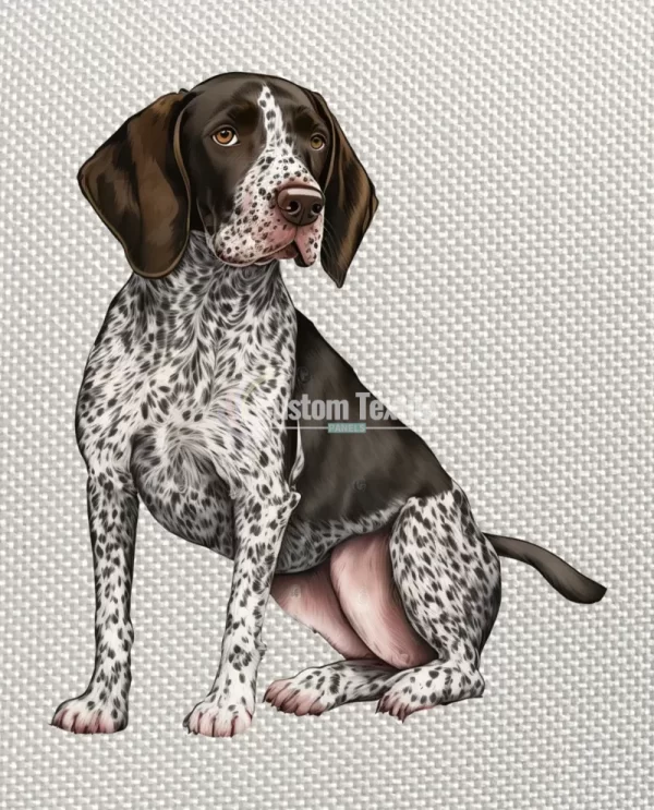 Pointer - Image 4