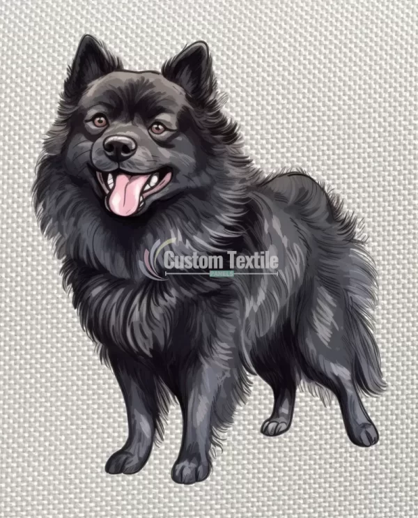 Schipperke - Image 4