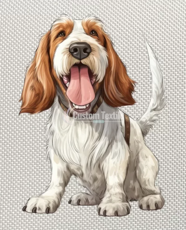 Spinoneitaliano - Image 4